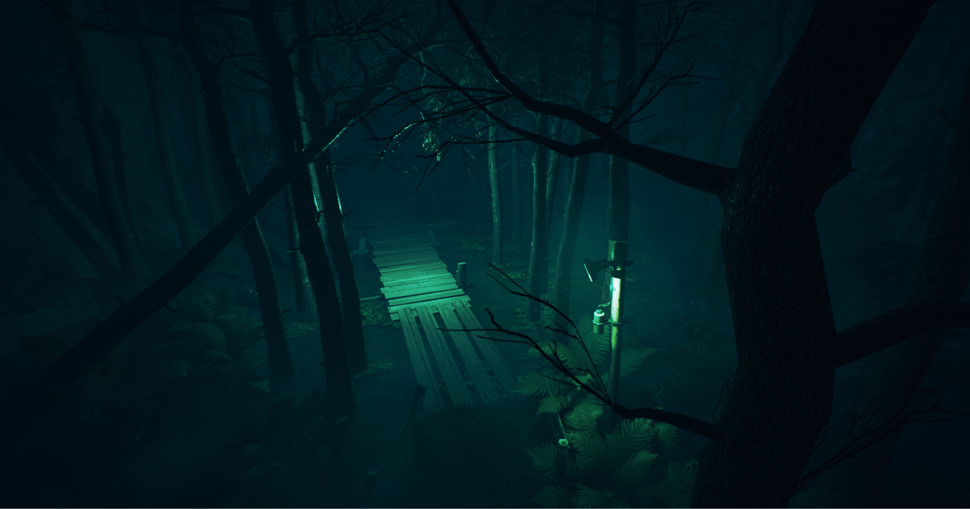 Foggy forest path in the hills of Ooty