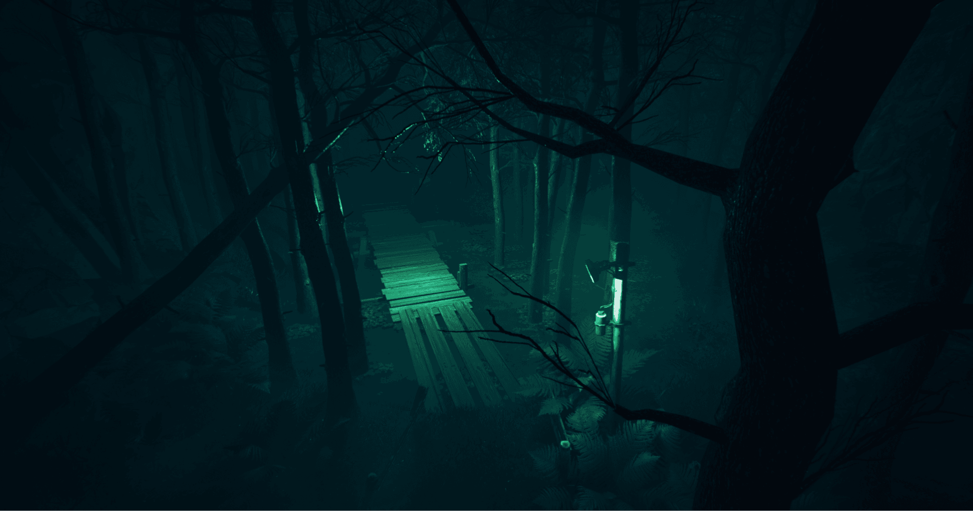 Foggy forest path in the hills of Ooty