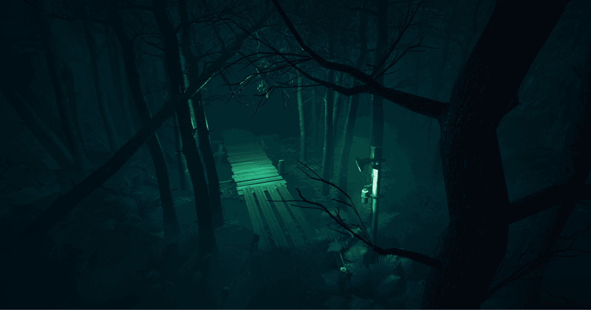 Foggy forest path in the hills of Ooty